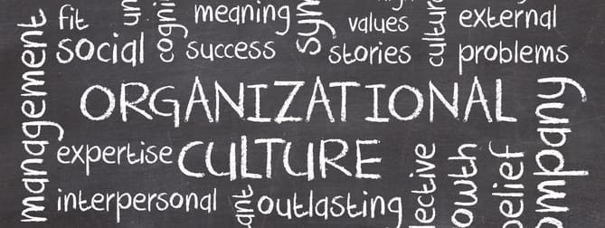 Organizational Culture