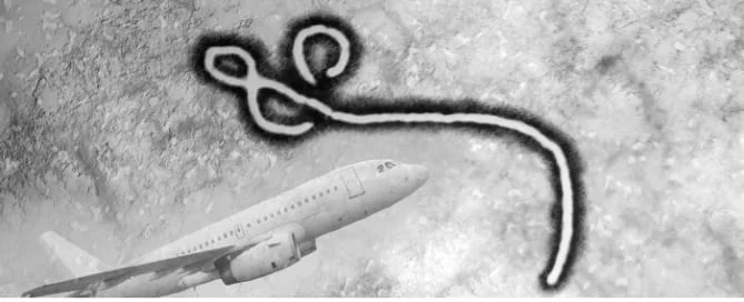 Ebola Fly Risk