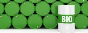 3D rendering green barrels for biofuels with lettering